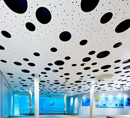 Knauf Cleaneo ����� ��������������� �������� ���������������� (����)
